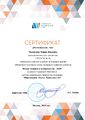 Сертификат эксперта отборочного этапа Юные техники и изобретатели 2020 .jpg