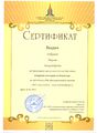 Сертификат Рубцова М.А.JPG