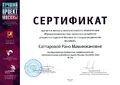 Сертификат WorldSkills Саттарова Р.М.jpg