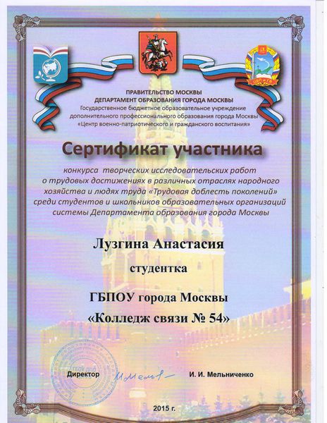 Файл:Сертификат Лузгина А.jpg