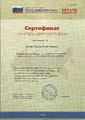 Сертификат Цифрового века 2011-2012 Лигай.jpg