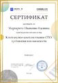 Сертификат участника вебинара ИнфраМ Знаниум Вдовина 2023.jpg