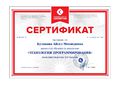 Технологии программ Кузякова сертификат.jpg