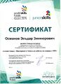 Сертификат главного эсперта js Османов Э.З..jpg