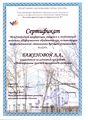 Сертификат руководителя проекта Баженовой Л.А..jpg