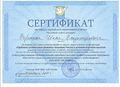 Сертификат Воронин 2013г.jpg