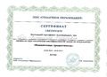 Сертификат Финансовая грамотность Баг.В.О.jpg