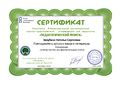 Сертификат Педагогический поиск Зарубина Н.С.jpg
