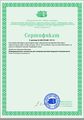Сертификат 2012-2013 Метёлкина Н.И.jpg