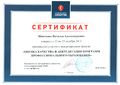 Сертификат Синергия Шевченко Н.А.jpg