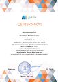 РезниковаЛБ Сертификат эксперта городского этапа конкурса Школа будущего-2021.jpg