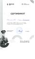 Сертификат Овчинниковой О.С. слет талалихинцев 2016.jpg