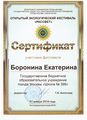 Сертификат Боронина Е.jpg