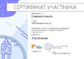 Сертификат Епимахов Н.jpg