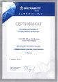 Сертификат участника семинара Шануриной М.В..jpg