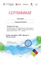 Метелкина 2019 год-Сертификат-вебинар-1.jpg