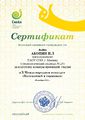 Сертификат Акопян Н.Л. за подготовку команды МТ.jpg