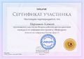 Сертификат участника Першаков А.jpg