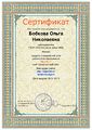 Сертификат персональный сайт Бобкова О.Н.jpg