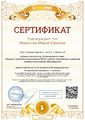 Сертификат проекта Малыгина.jpg