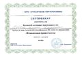 Сертификат о прохождении финансовой грамотности Бобров А.Д.jpg
