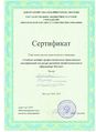 Сертификат участника Павловой Н.А.jpeg