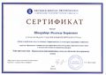 Сертификат ВШЭ Шварцберг Н.Б. 2015.jpg