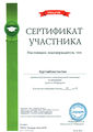 Сертификат Куртов К.jpg