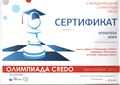 Сертификат Конычева А.jpg