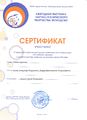 Сертификат участника городской конференции Хохлов С.Н., 2015.jpg