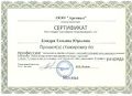 Сертификат ООО Арсенал Кондря Т.Ю.jpg