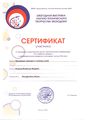 Сертификат участника городской конференции Поляков И.И., 2015.jpg
