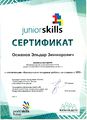 Сертификат эксперта js Османов Э.З. 2015.jpg