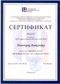 Сертификат Печенкина А. за участие в городском проекте.jpg
