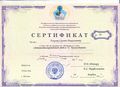 Сертификат ПК Хохлов С.Н., 2011.jpg
