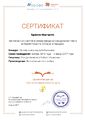 Сертификат Читаем классику в библиотеке Вдовина 2017.jpg