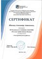 Сертификат молодые профессионалы 2018.JPG