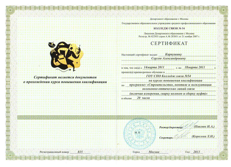 Файл:Сертификат Карпушина С.jpg