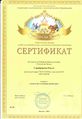 Сертификат Серебрякова О.jpg