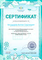 Сертификат об участии internet-pravila.ru Болдырев.jpg