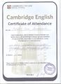 Сертификат Кэмбридж 2014-2015 Кобцева И.А.jpg