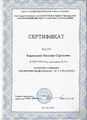 Сертификат миро 2014.jpg