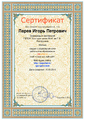 Сертификат о публикации Nsportal 2015 Ларев И.П.png