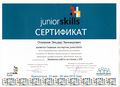 Сертификат эксперт JS 05.2016.jpg