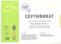 Сертификат Осипова 2016.jpg