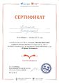 Сертификат участника Страна читающая-Брюсов Липилин Четвертакова октябрь 2016.jpg