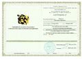 Сертификат Рябинина.jpg