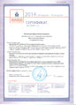 Сертификат Всероссийский пед.марафон Литвинова И.А.jpg