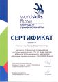Сертификат эксперта отборочных соревнований WSR Плотников П.В..jpg