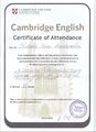 Сертификат Кэмбридж Кобцева И.А.jpg
